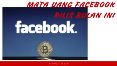 mata uang facebook